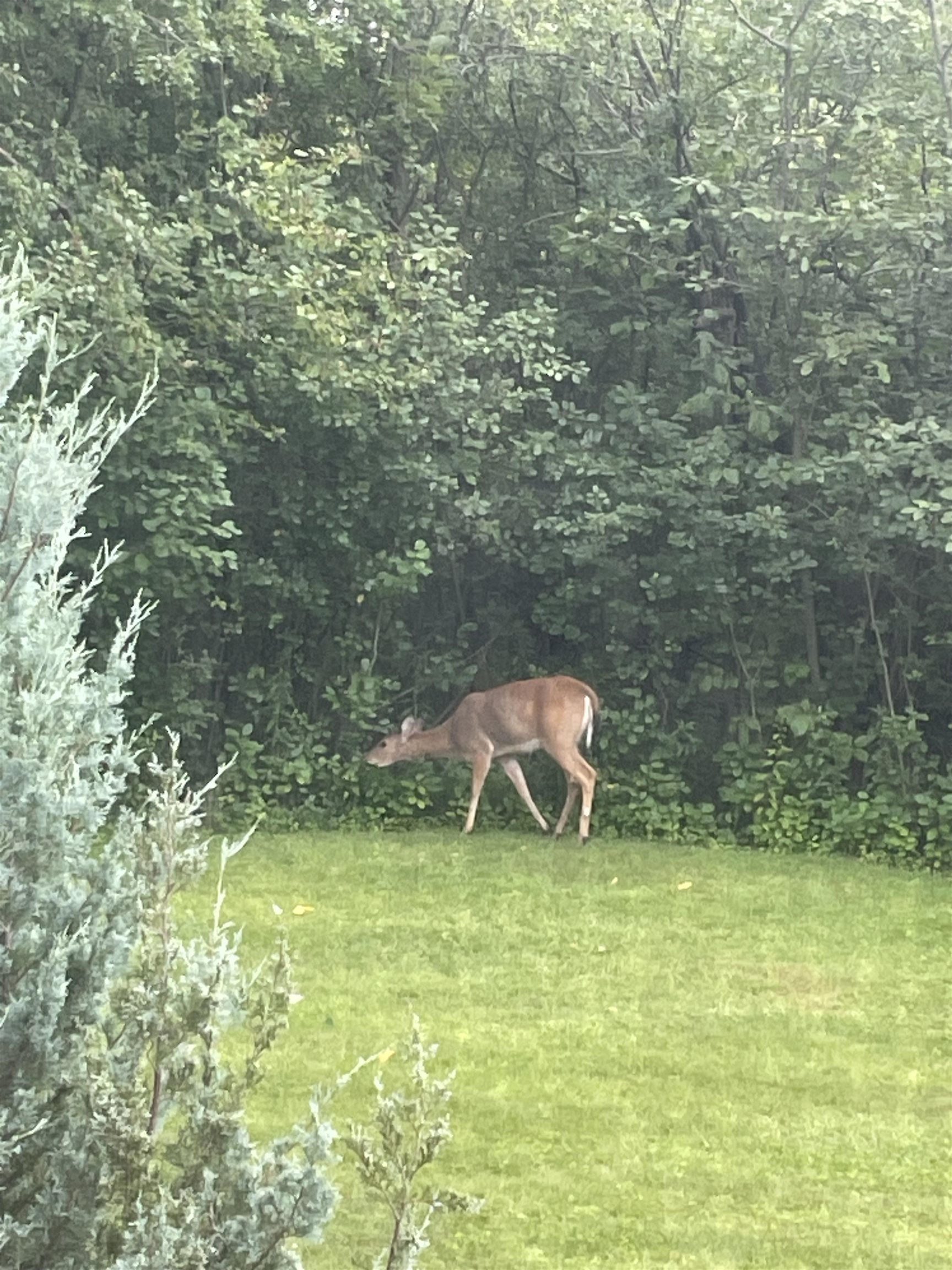 1940 Renaissance Court Green Bay, WI 54313 - Photo 49 of 49