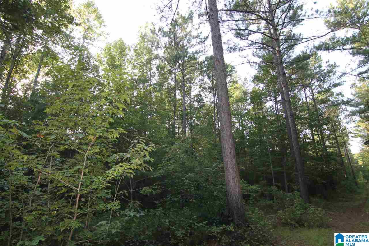 632 County Road, Unit 19 64 Roanoke, AL 36274 - Photo 8 of 8