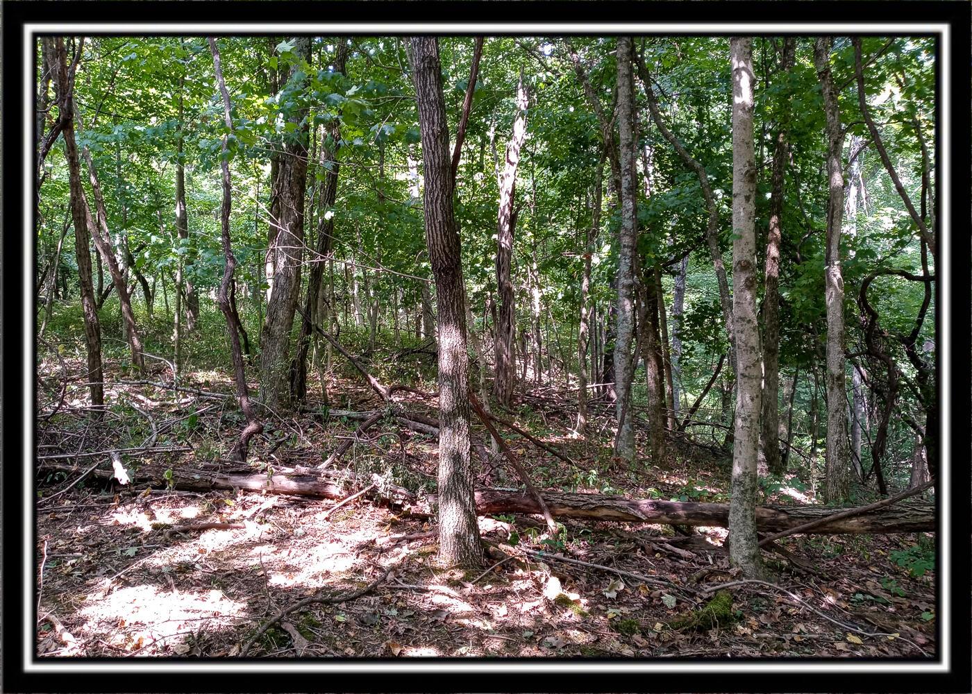 0 Hampton Hollow Road Langsville, OH 45741 - Photo 33 of 58 Hampton4-17