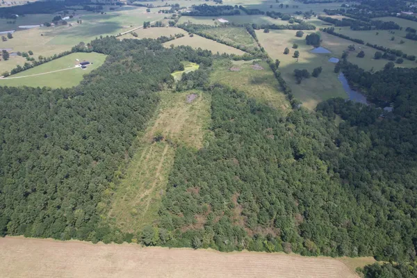 a view of a dry yard with wooden fence