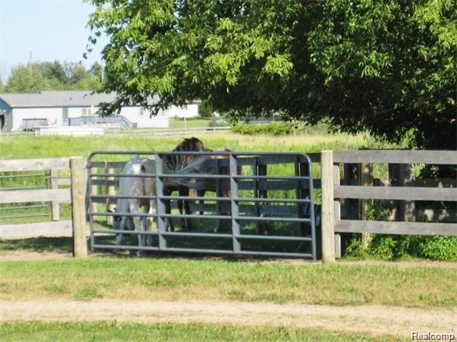 5497 Emmons Road Fowlerville, MI 48836 - Photo 22 of 25 GetMedia (41).jpg