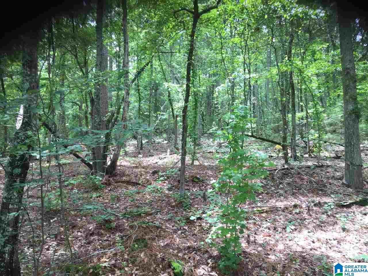 Black Acres Road, Unit 34 Odenville, AL 35120 - Photo 11 of 19