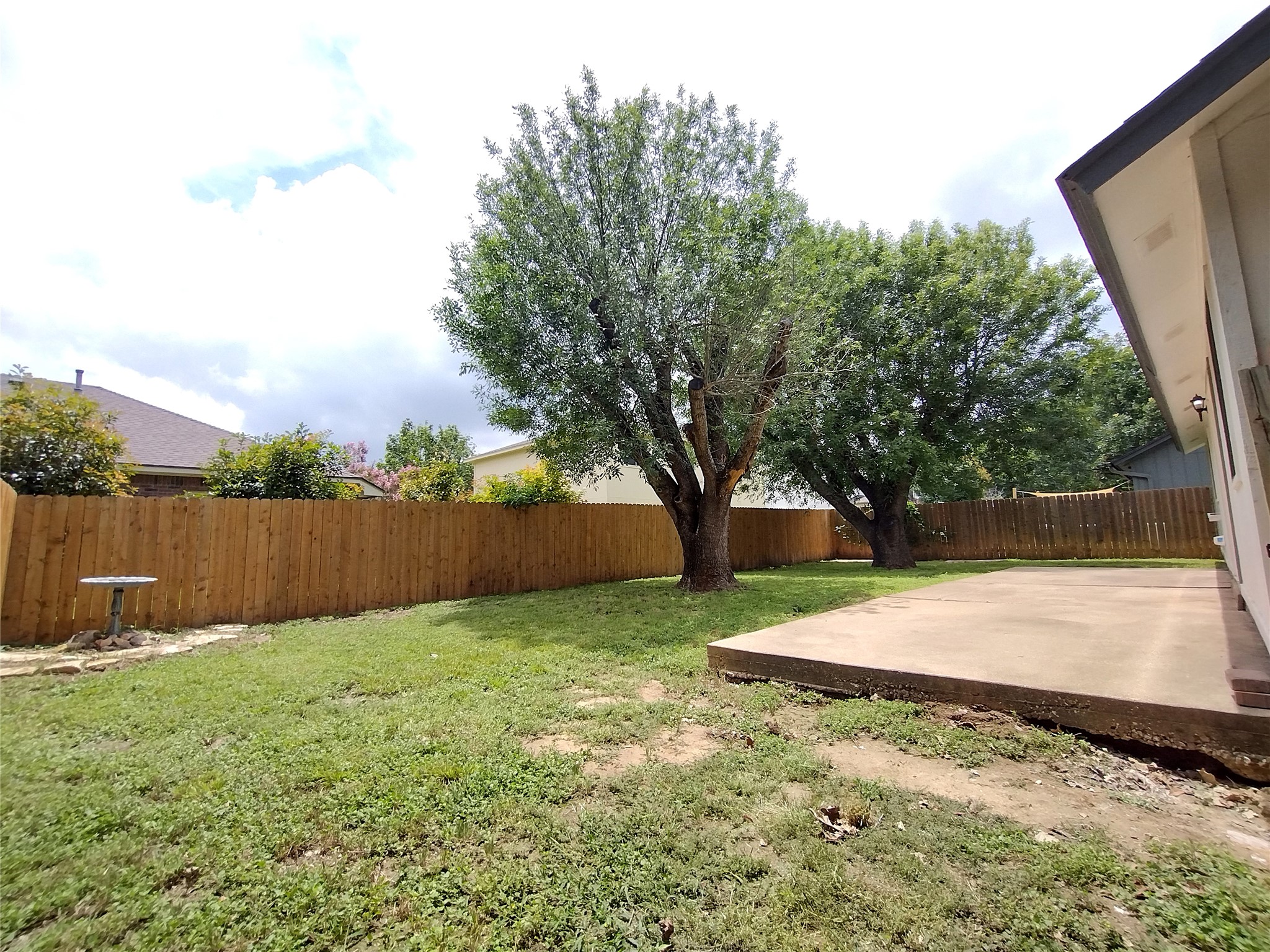 1813 Laurel Path Round Rock, TX 78664 - Photo 31 of 35 A spacious backyard with mature trees, verdant grass, and a concrete patio ideal for outdoor gatherings.