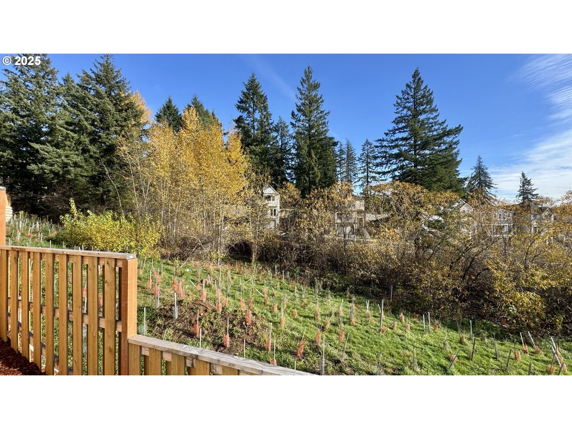 17614 Southwest Watchman Lane Beaverton, OR 97007 - Photo 36 of 36 a open area with trees in the background