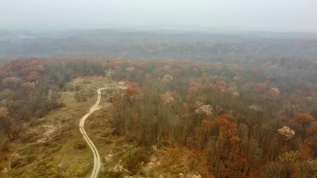 $300,000 | 40 Acres 160th Avenue, Big Rapids, MI 49307