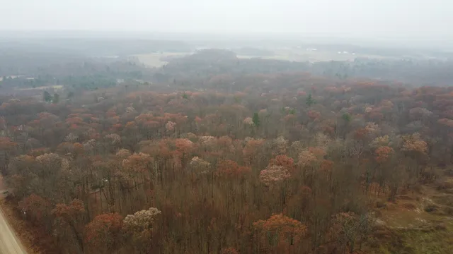 $300,000 | 40 Acres 160th Avenue, Big Rapids, MI 49307