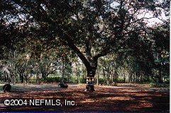 103 Paul Interlachen, FL 32148 - Photo 3 of 8 acreage