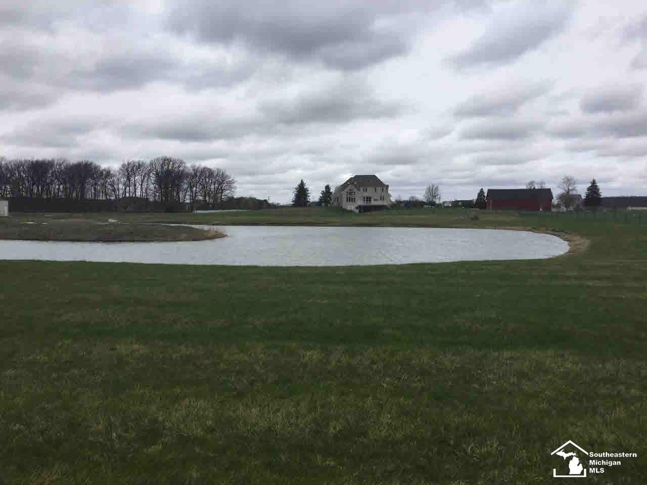12603 Todd Road Ida, MI 48140 - Photo 7 of 31