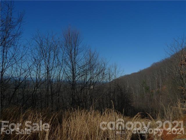 5579 Burkemont Road Morganton, NC 28655 - Photo 11 of 12 Gallery Image 11