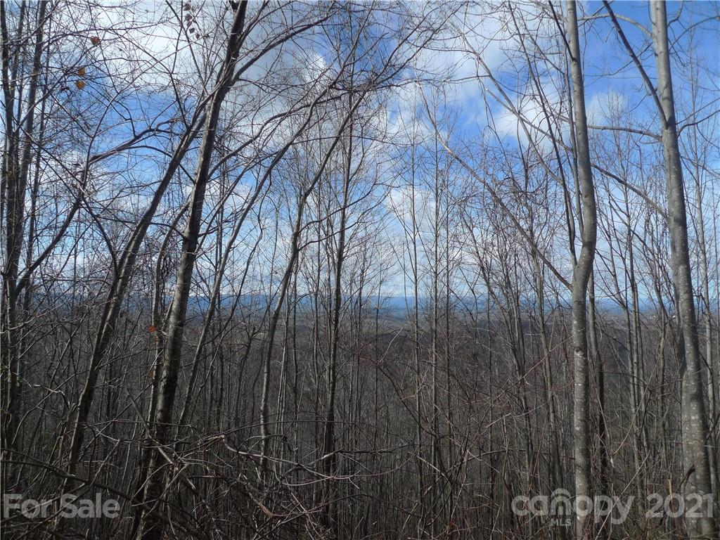 5579 Burkemont Road Morganton, NC 28655 - Photo 7 of 12 Gallery Image 7