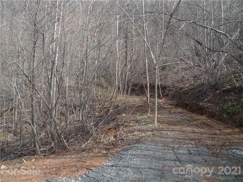 5579 Burkemont Road Morganton, NC 28655 - Photo 8 of 12 Gallery Image 8