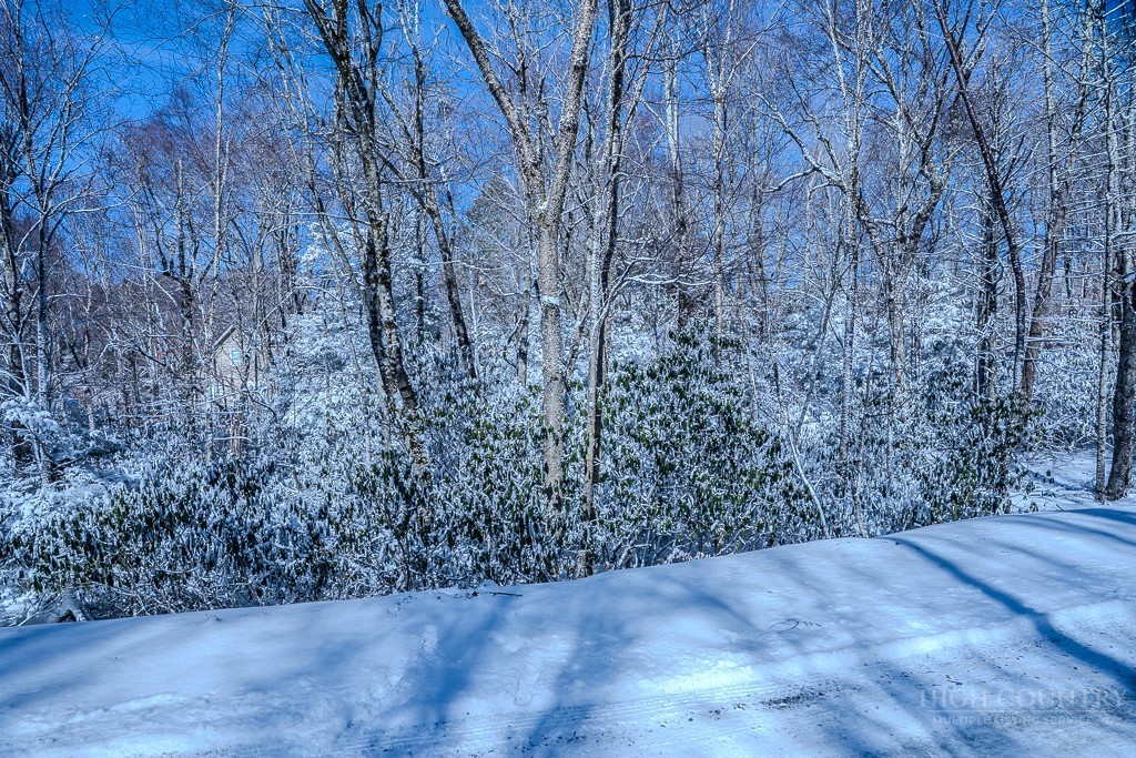252 Greenbriar Road Beech Mountain, NC 28604 - Photo 8 of 17