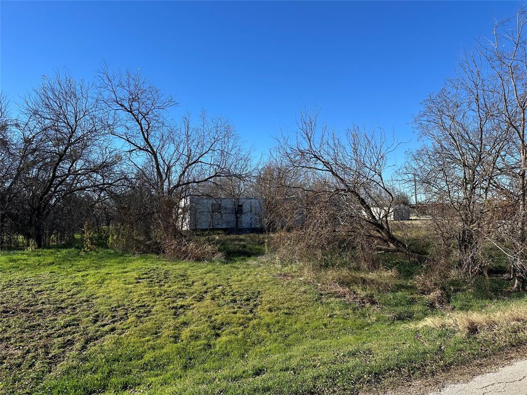 Tbd Spring Road Ranger, TX 76470 - Photo 2 of 3 a backyard of a house with lots of green space