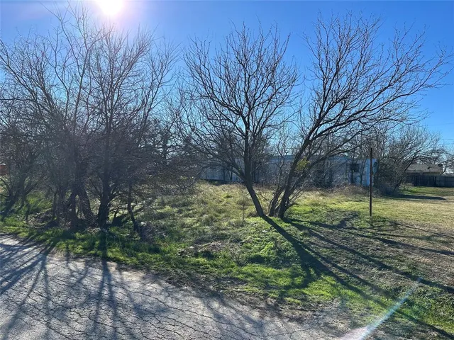 a view of a yard with large trees