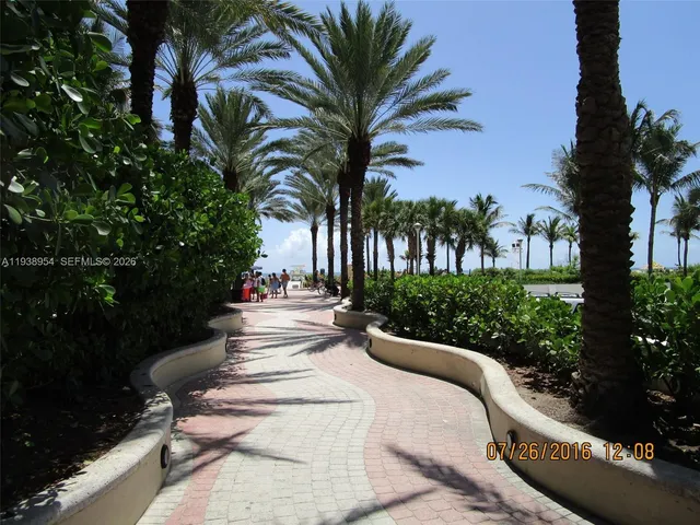 a view of a park with palm trees