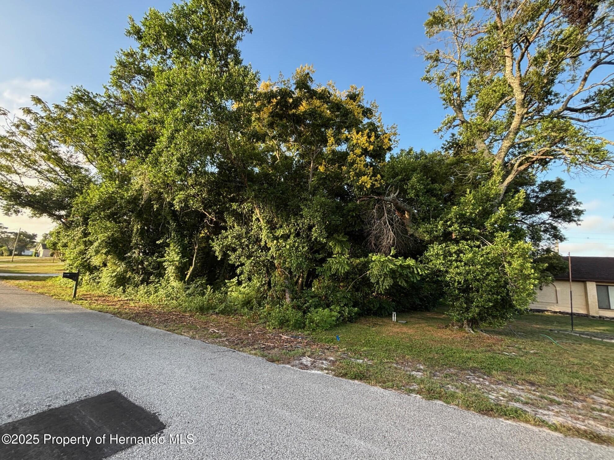 Lot 5 Manchester Street Spring Hill, FL 34607 - Photo 5 of 6