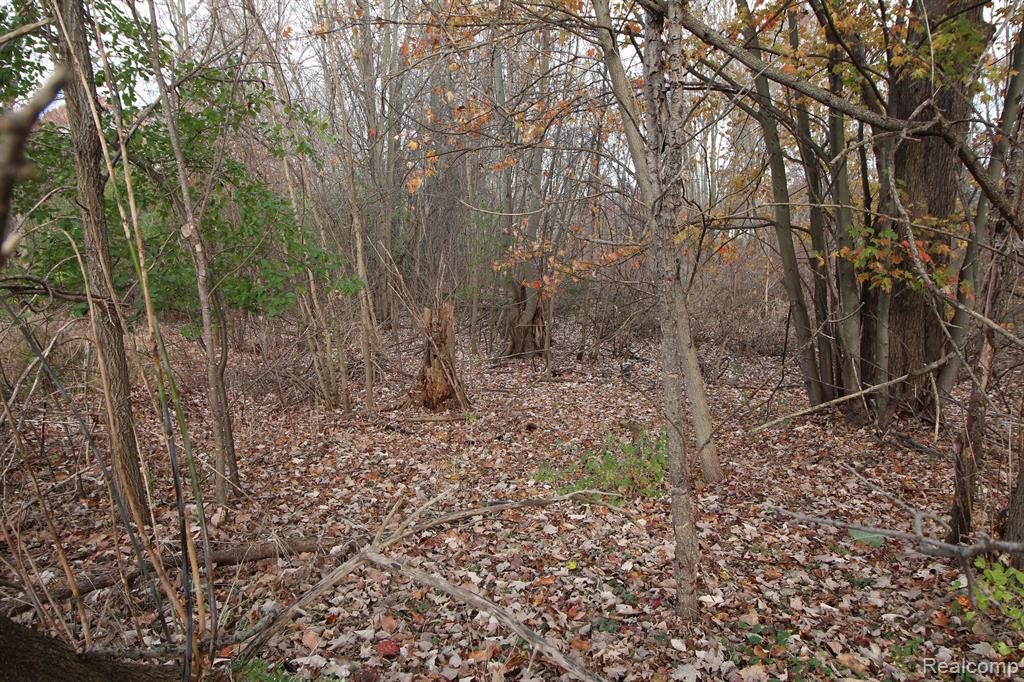 2317 Imlay City Road Lapeer, MI 48446 - Photo 9 of 44