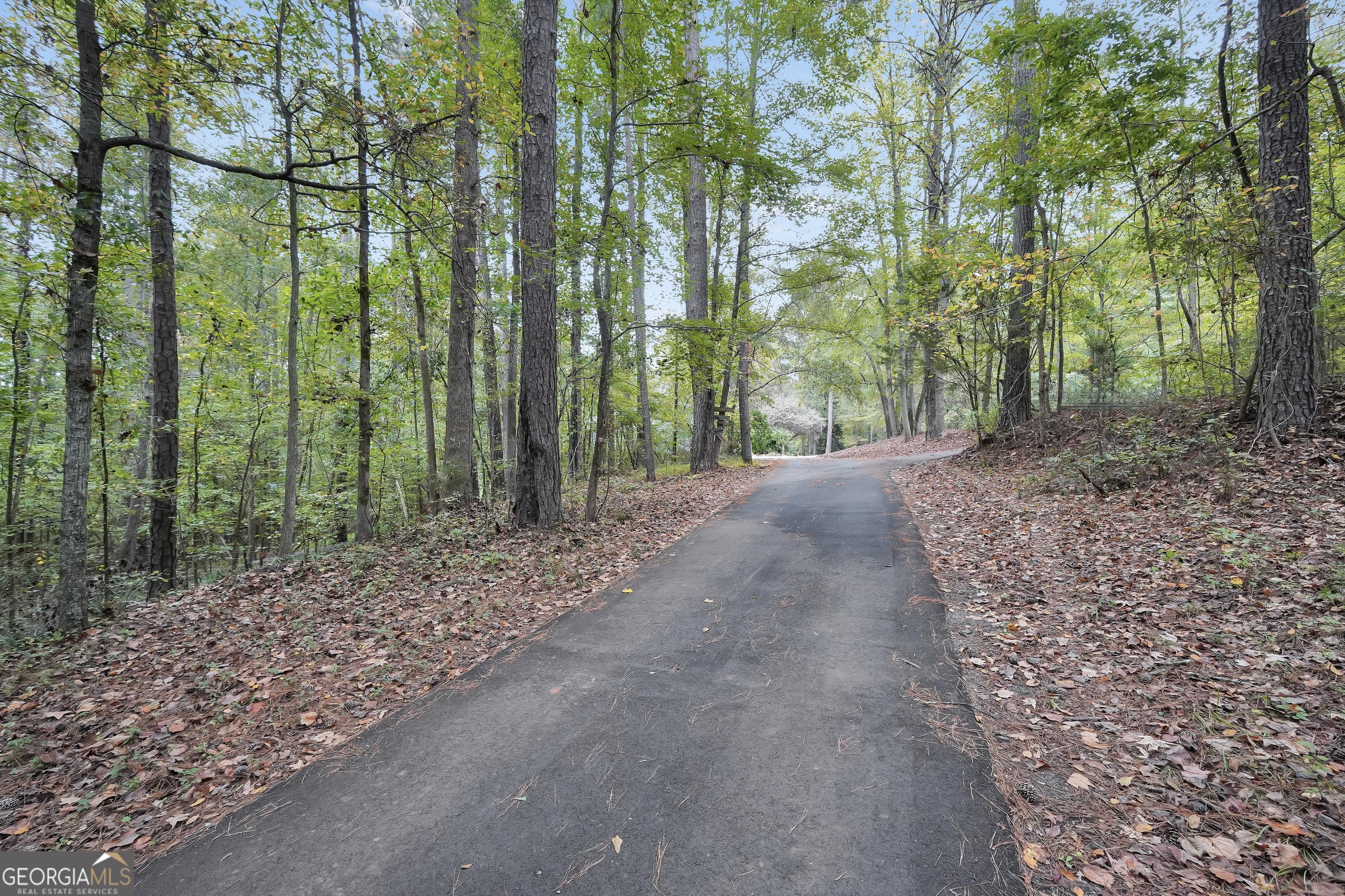 2103 Turner Church Road McDonough, GA 30252 - Photo 5 of 46 a view of a yard with large trees