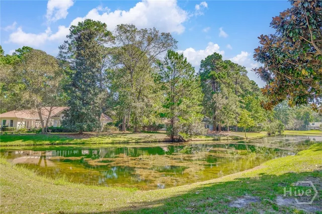$1,499,000 | 29 Black Hawk Trail, Savannah, GA 31411