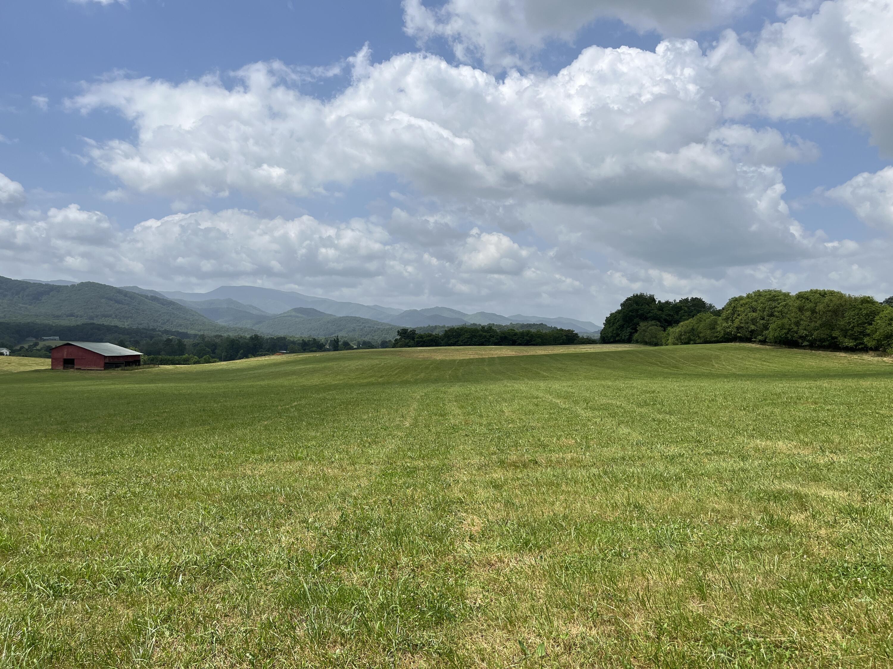 Tbd Ray Peterson Road, Unit 3 Limestone, TN 37681 - Photo 1 of 8 image