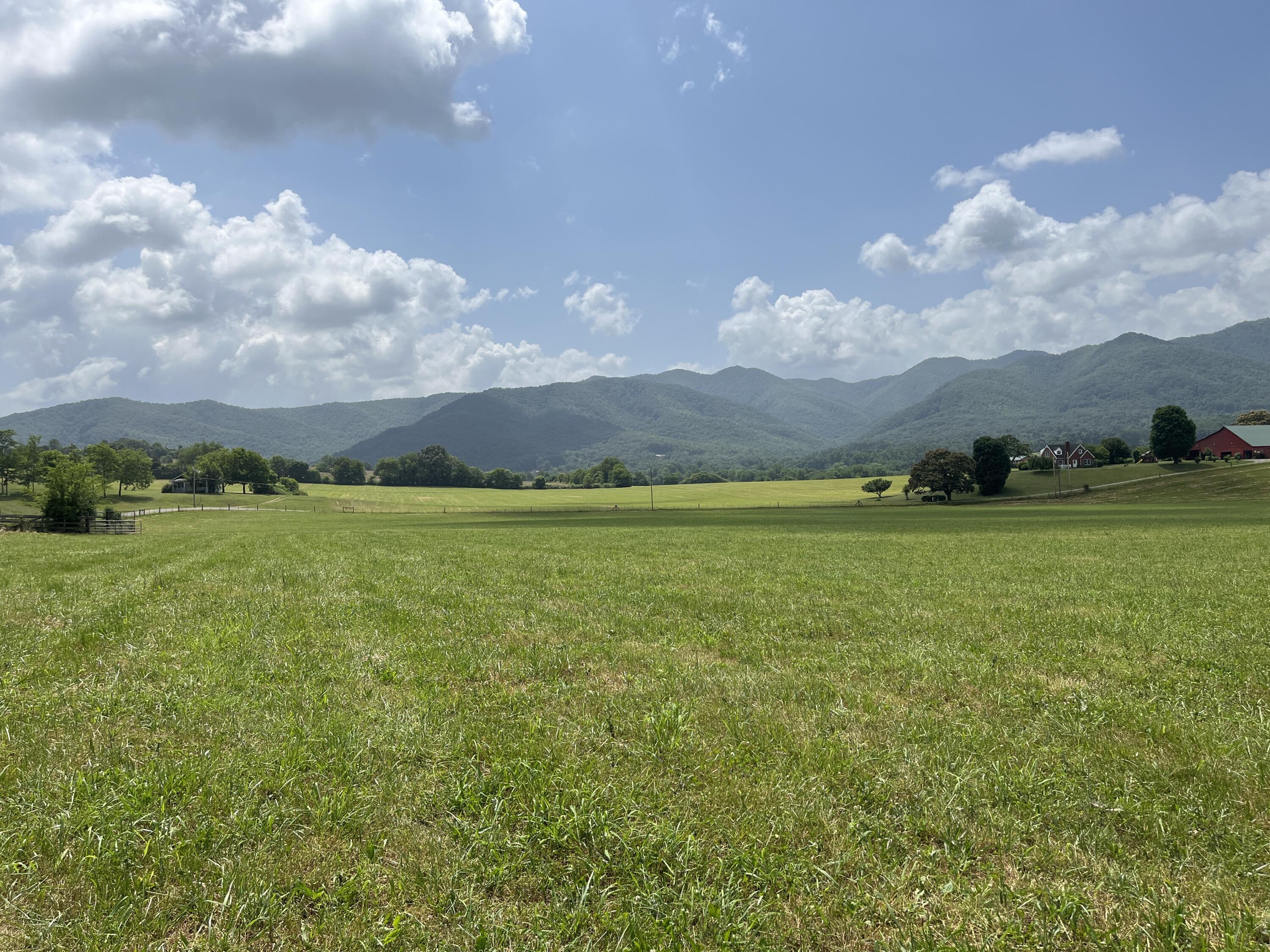 Tbd Ray Peterson Road, Unit 3 Limestone, TN 37681 - Photo 2 of 8 image