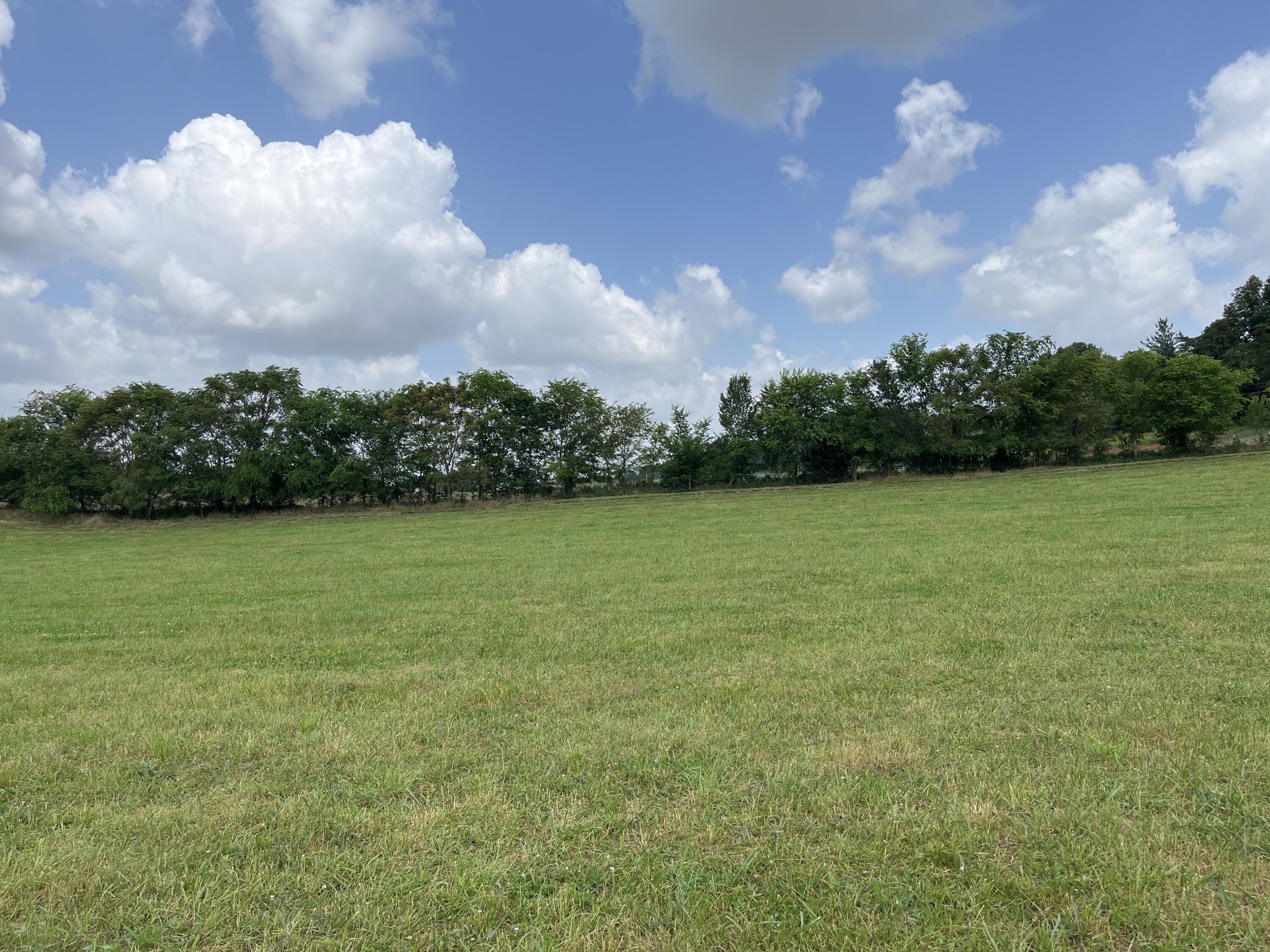 Tbd Ray Peterson Road, Unit 3 Limestone, TN 37681 - Photo 4 of 8 image