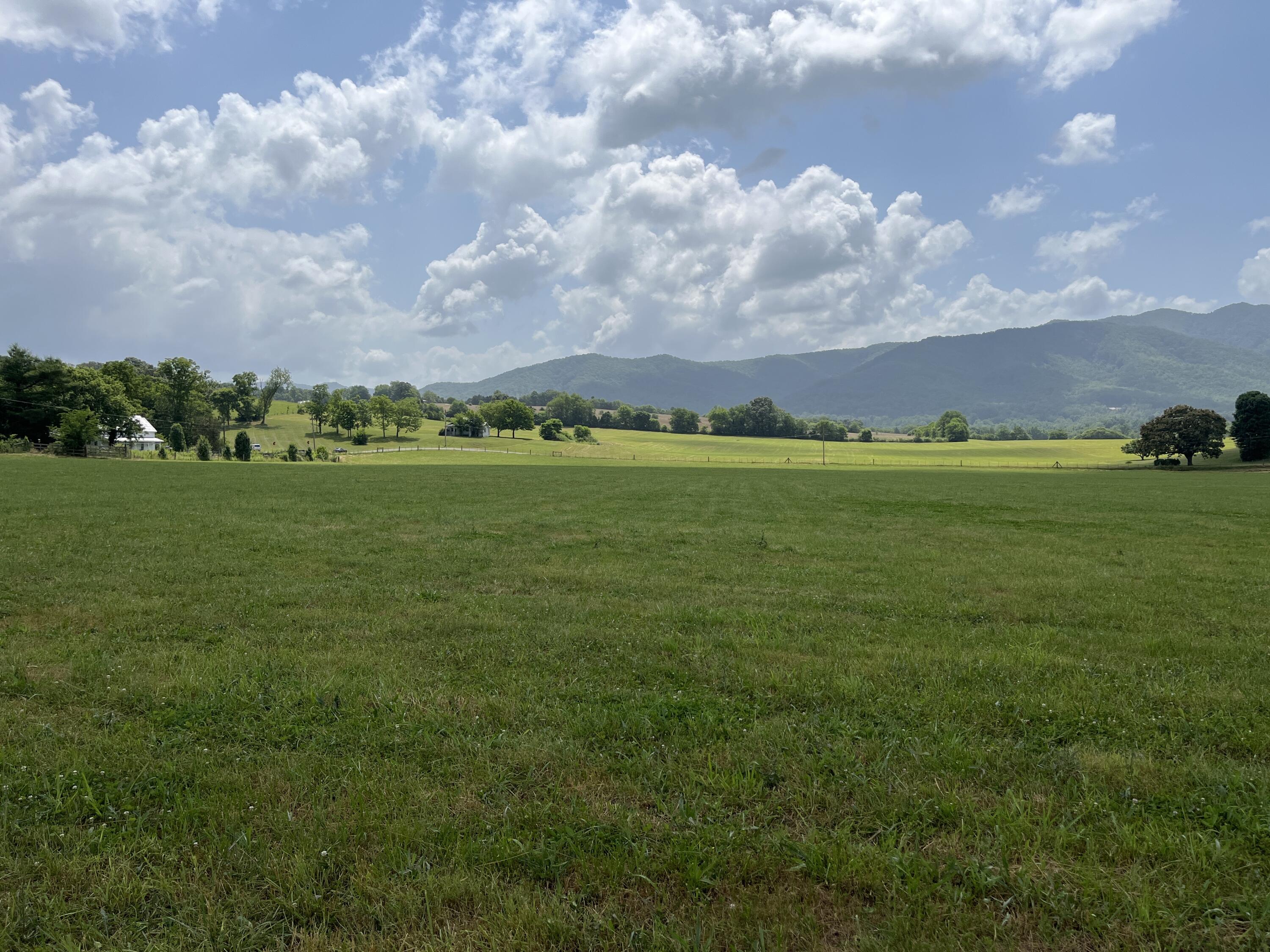 Tbd Ray Peterson Road, Unit 3 Limestone, TN 37681 - Photo 5 of 8 image