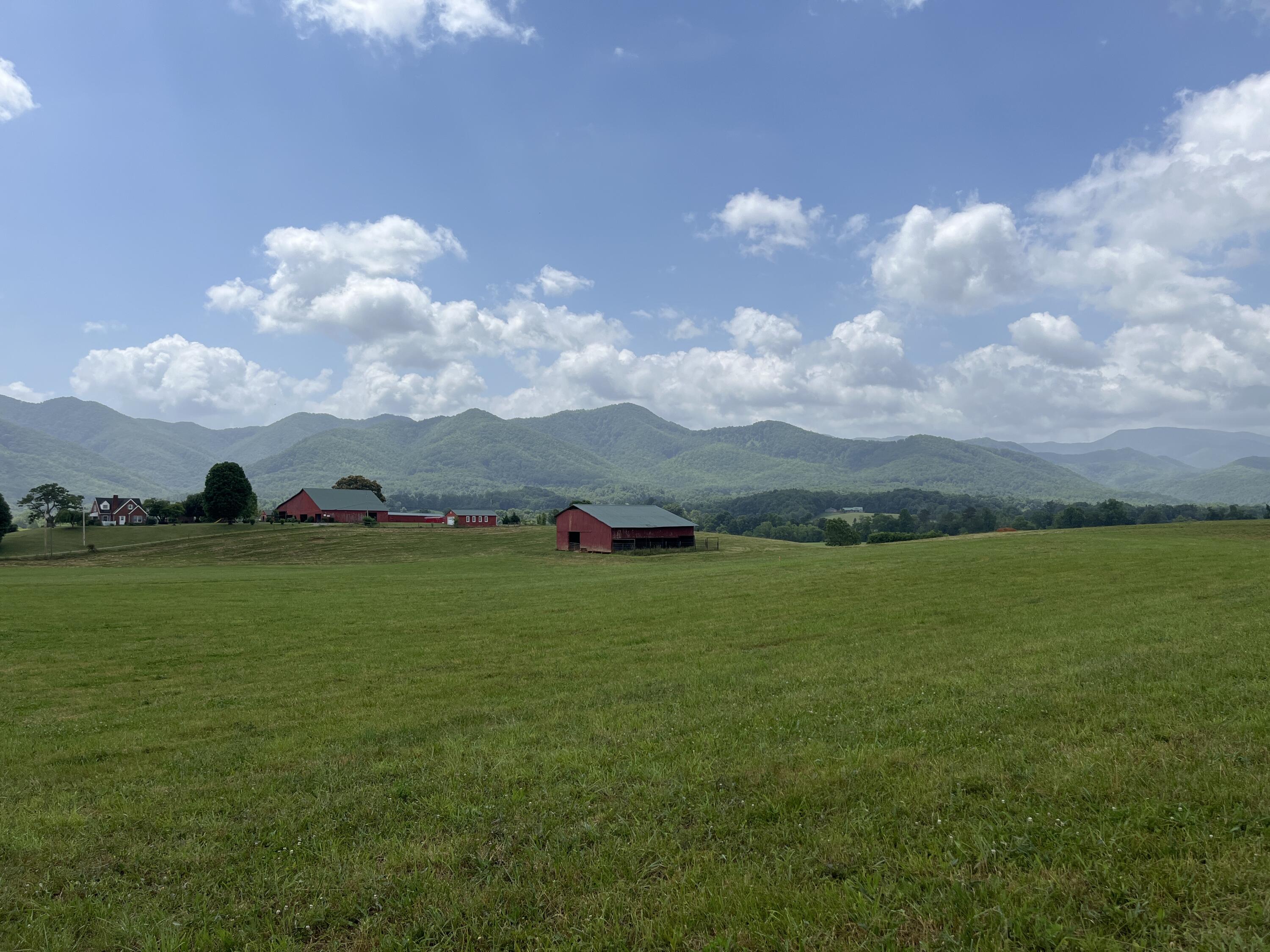 Tbd Ray Peterson Road, Unit 3 Limestone, TN 37681 - Photo 6 of 8 image