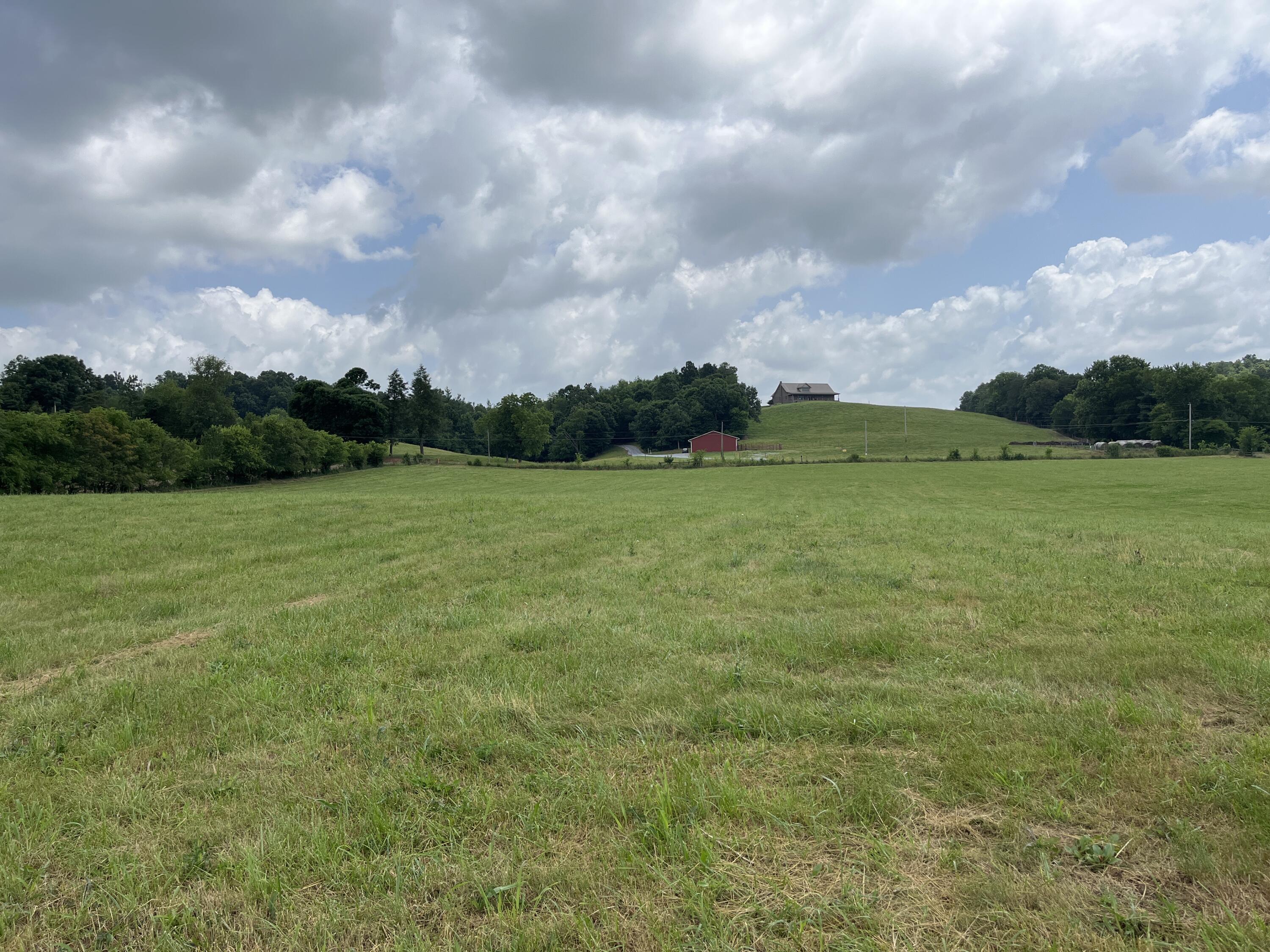 Tbd Ray Peterson Road, Unit 3 Limestone, TN 37681 - Photo 7 of 8 image