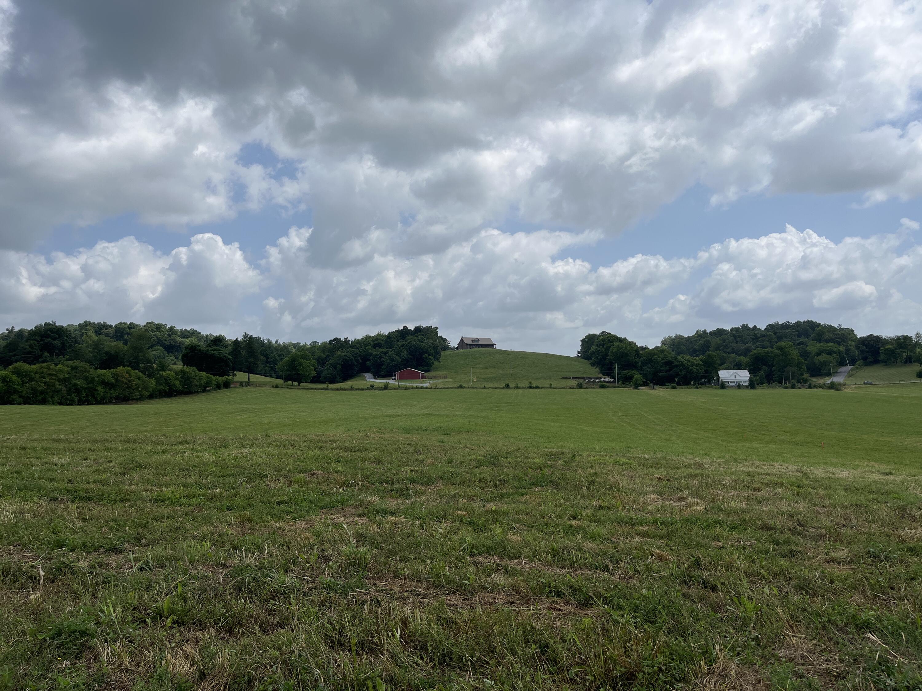 Tbd Ray Peterson Road, Unit 3 Limestone, TN 37681 - Photo 8 of 8 image