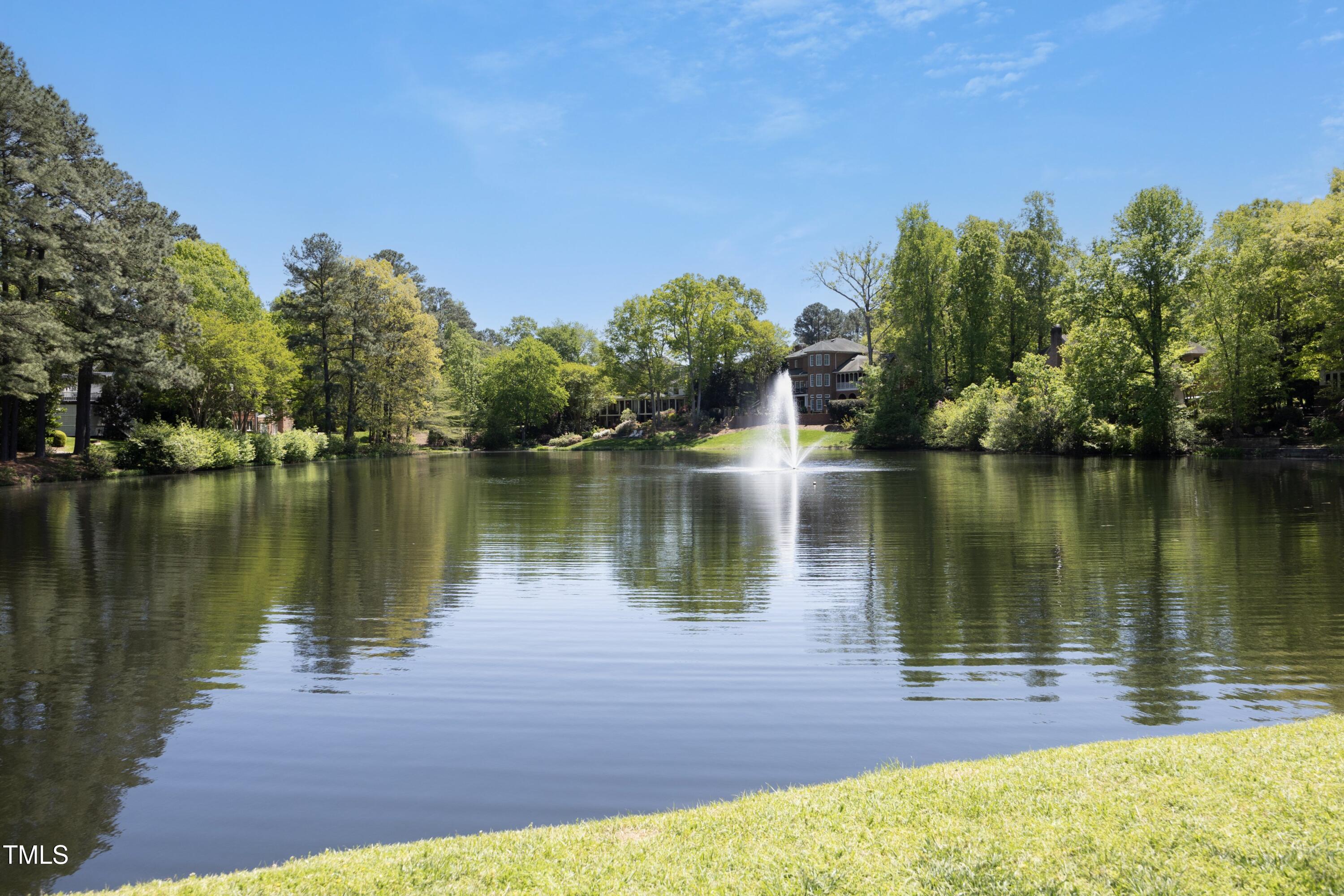 4101 John S Raboteau Wynd Raleigh, NC 27612 - Photo 62 of 65 51Pond