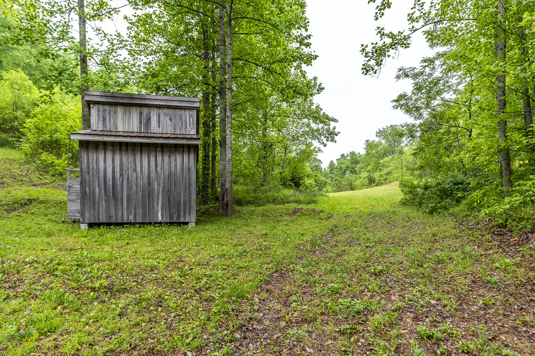 123 Duke Powell Road McKee, KY 40447 - Photo 7 of 18 123duke07