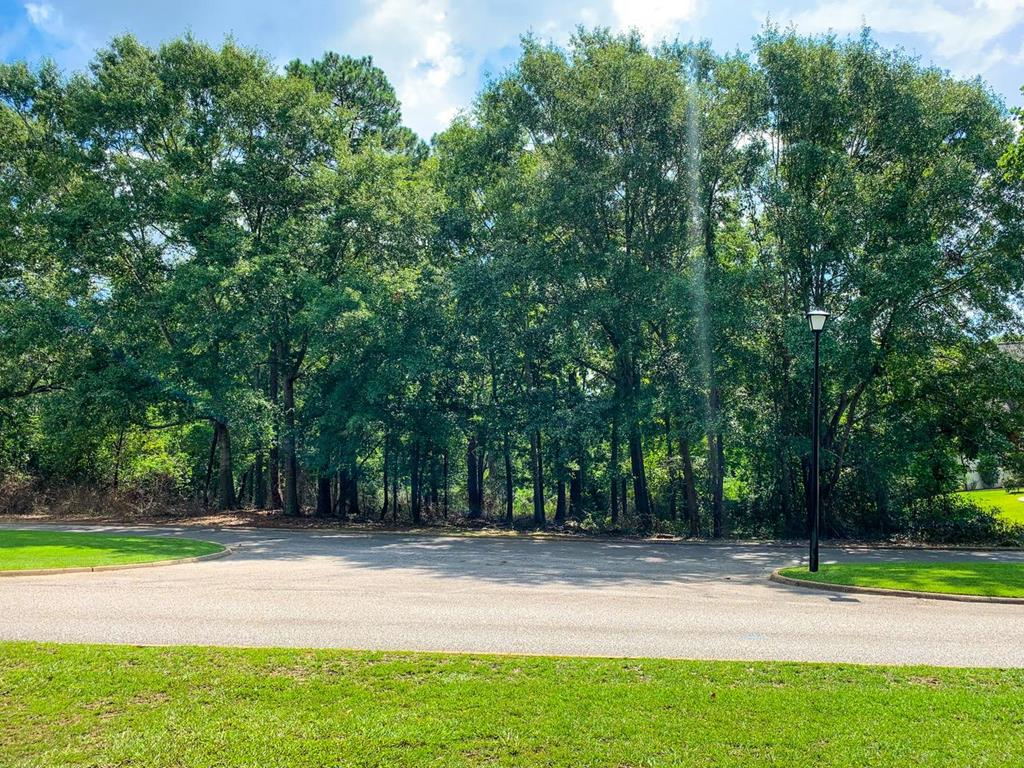 44 Hampton Way Dothan, AL 36305 - Photo 1 of 2