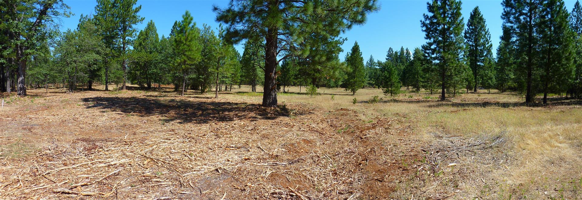 58-acres Burnt Blf Road Whitmore, CA 96096 - Photo 14 of 54 10