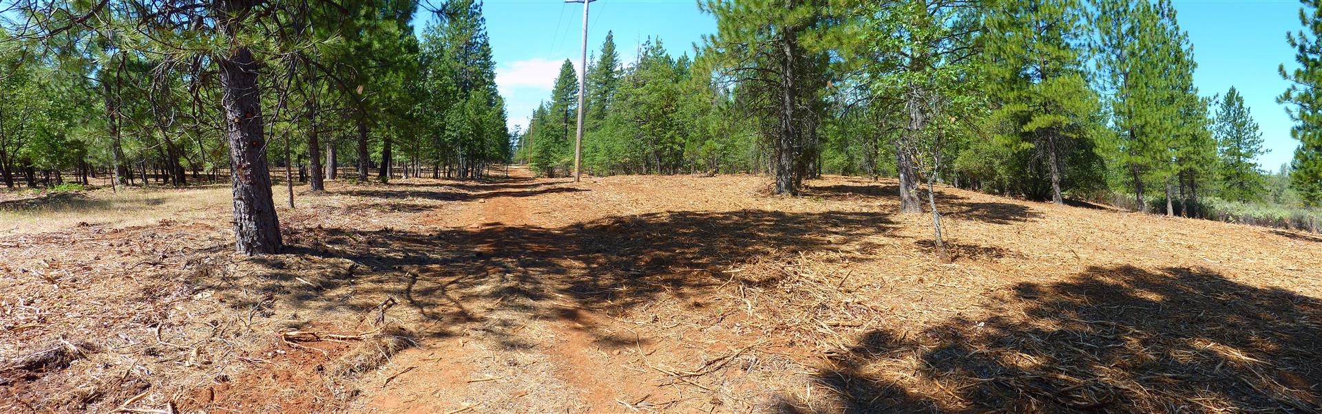 58-acres Burnt Blf Road Whitmore, CA 96096 - Photo 16 of 54 11