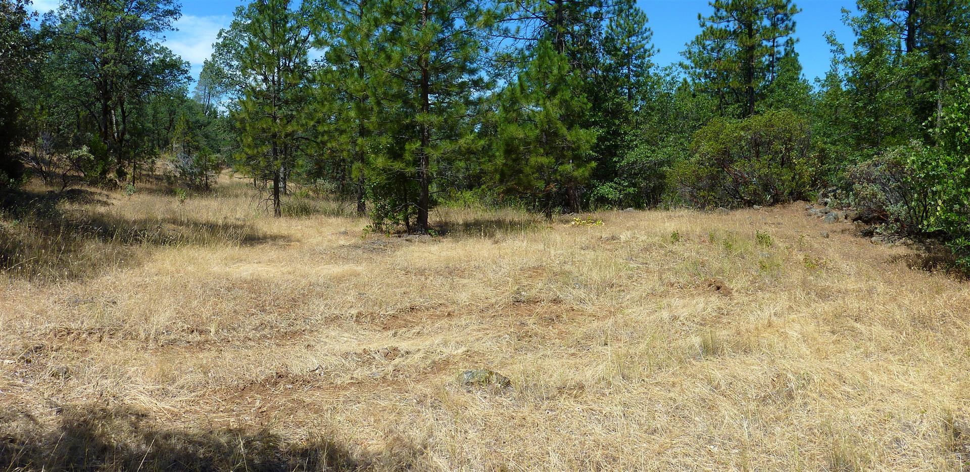 58-acres Burnt Blf Road Whitmore, CA 96096 - Photo 34 of 54 28