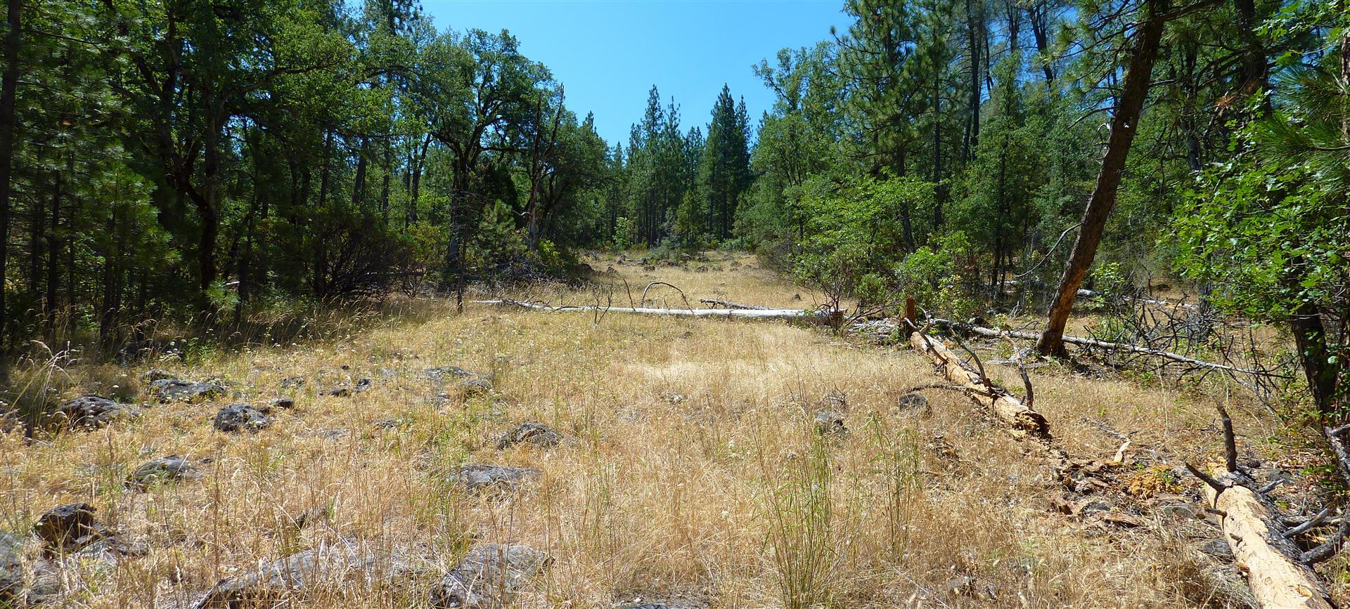 58-acres Burnt Blf Road Whitmore, CA 96096 - Photo 36 of 54 30