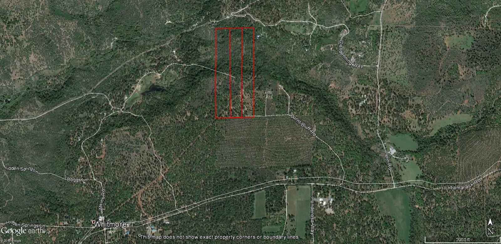 58-acres Burnt Blf Road Whitmore, CA 96096 - Photo 38 of 54 aerial 1