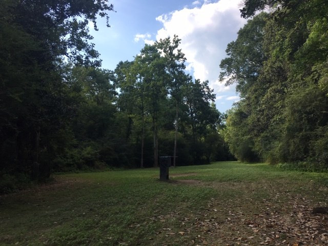 1088 Charlie Rhodus Road Osyka, MS 39657 - Photo 16 of 42 Photo 16