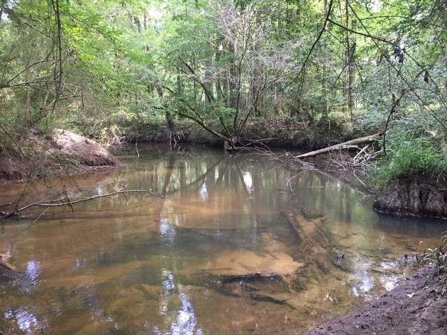 1088 Charlie Rhodus Road Osyka, MS 39657 - Photo 20 of 42 Photo 20