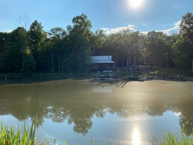 1088 Charlie Rhodus Road Osyka, MS 39657 - Photo 2 of 42 Photo 2