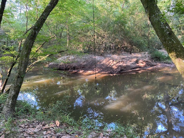 1088 Charlie Rhodus Road Osyka, MS 39657 - Photo 39 of 42 Photo 39