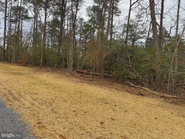 a view of backyard with green space