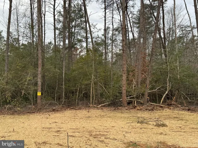 a view of wooden fence
