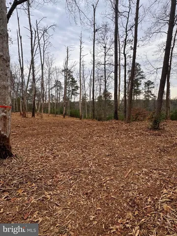 a big yard with lots of green space