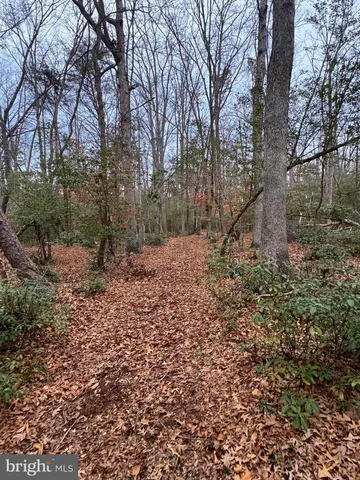 a view of yard with a tree