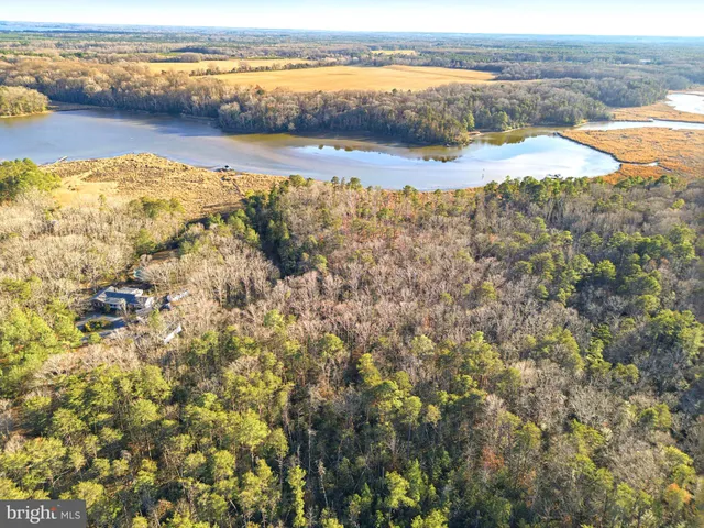 a view of an ocean and beach
