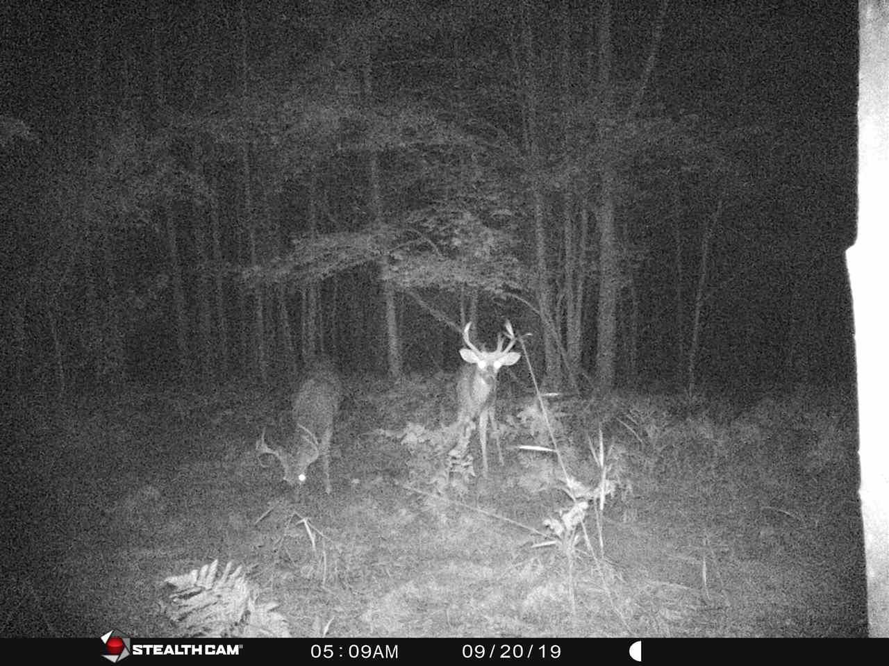 40-acres Hottis Road Whittemore, MI 48770 - Photo 21 of 23