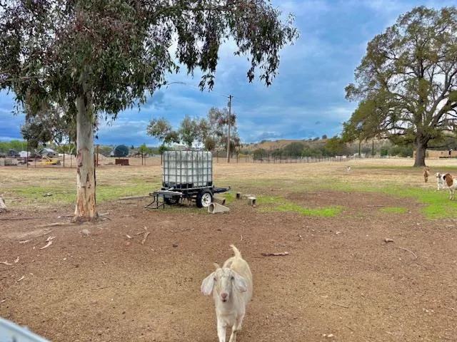 a view of a yard with iron fence