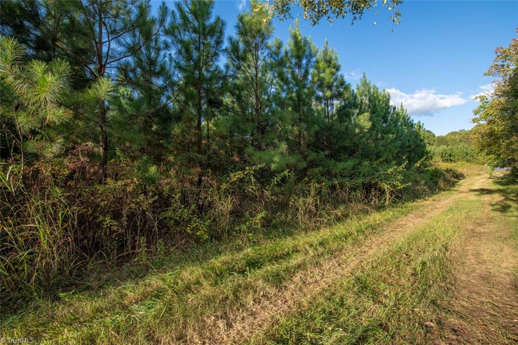 0 Briles Meadow Road Trinity, NC 27370 - Photo 12 of 27 Gallery Image 12